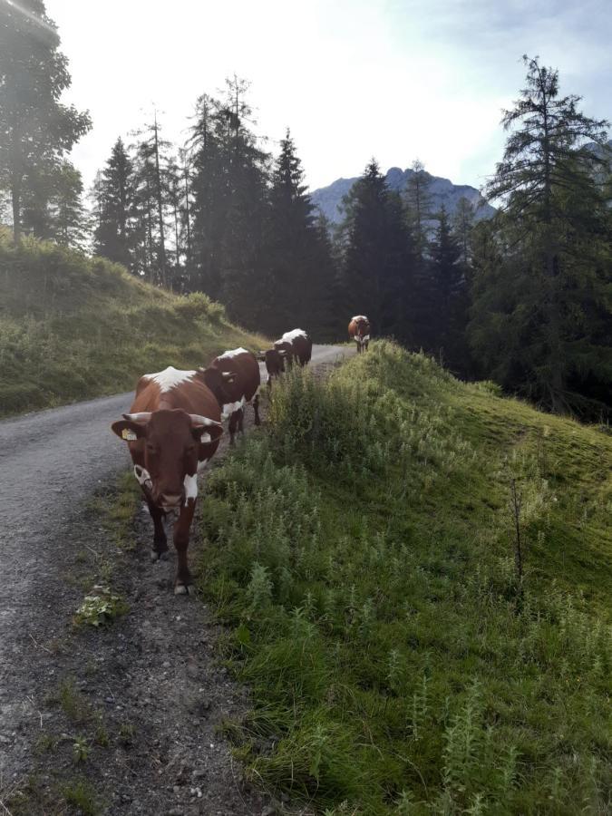 Reithgut Lägenhet Sankt Martin am Tennengebirge Exteriör bild