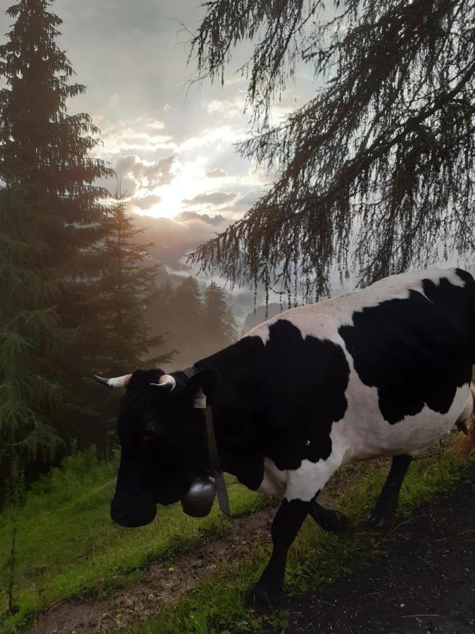 Reithgut Lägenhet Sankt Martin am Tennengebirge Exteriör bild