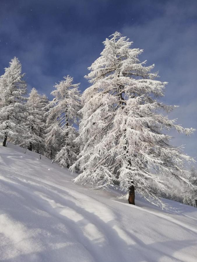 Reithgut Lägenhet Sankt Martin am Tennengebirge Exteriör bild
